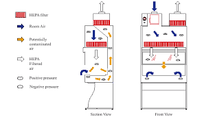 Canadian biosafety standards and guidelines. Biosafety Cabinets Environmental Health Safety University Of Delaware