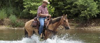 Maybe you would like to learn more about one of these? Aqha Programs Overview Aqha