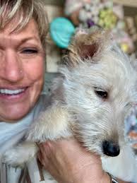 Picked up the wonderful, but incredibly timid, Scamp from MT today. Big  thank you to everyone that hslped us in adopting her !