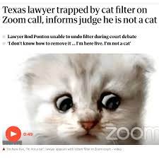 Texas attorney rod ponton was transformed into an adorable kitten. Texas Lawyer Trapped By Cat Filter On Zoom Call Informs Judge He Is Not A Cat Jerz S Literacy Weblog Est 1999