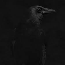Vantablack Color Black Aesthetic Wallpaper Shades Of Black Black Aesthetic