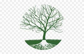 Download Family Tree Clipart Realistic Tree Without Leaves Free Transparent Png Clipart Images Download