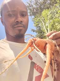 Zero to Grown Inc. (@zerotogrown) • Instagram photos and videos