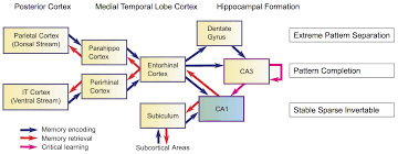 Pour le manga, voir captain tsubasa. Cs379c 2018 Class Discussion Notes