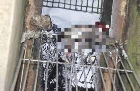 Tralala trilili senangnya rasa hati begitulah penggalan lagu dari iklan taman impian jaya ancol jaman dulu. Janin Bayi Ditemukan Di Loji Rawatan Kumbahan Di Labuan Borneo Today