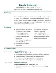 Marketing Combination Resume Samples Examples Format Templates Resume Help