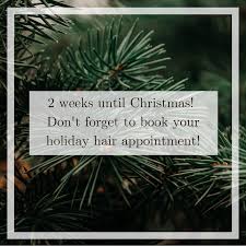Pin By Brooke Ebersole On Salon In 2020 Holiday Hairstyles Hair Stylist Life Hair Appointment