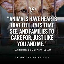 98 Top Anti Animal Cruelty Slogans Quotes Animal Rights Day Vicharoo
