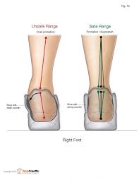 Video Tutorial 12 Is Running Bad For Your Knees How Does The Body Spring Back Safely From Impacts Of Running An Knochelschmerzen Anatomie Lernen Sprunggelenk