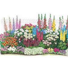 Endless Bloom Perennial Garden You Can Buy This Layout With All The Flowers From Thi Endless Blooms Perennial Garden Flower Garden Plans Flower Garden Layouts