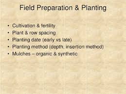 You should make a note of two advantages and two. Ppt Disadvantages Of Cultural Controls Powerpoint Presentation Free Download Id 596834