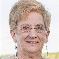 Joanne Maxine Haug Obituary