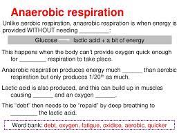 Difference Between Aerobic And Anaerobic Respiration