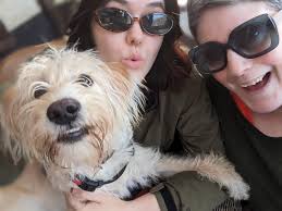 Whether you need help moving a few items, walking your furry friend,  decorating, or keeping your home tidy, I'm here to make life easier.