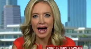 Kayleigh mcenany says trump will 'attend his own inauguration' on 20 january. Triggered Birther Kayleigh Mcenany Roasted For Feigning Outrage Over Biden Staffer S Expletive Raw Story Celebrating 17 Years Of Independent Journalism