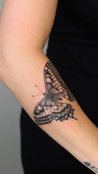Butterfly On Shoulder