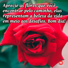 images?q=tbn:ANd9GcS5GH3HQWbZ2s1DmeeirvB