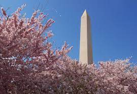 Washington Monument | History, Height, Dimensions, Date, & Facts |  Britannica