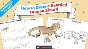 Step by step guide (fantasy art drawing course book 1). How To Draw A Bearded Dragon Lizard Really Easy Drawing Tutorial