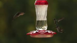 Do not contact me with unsolicited services or offers; Hummingbird Feeders For Sale Unique Glass Hummingbird Feeders More Birds