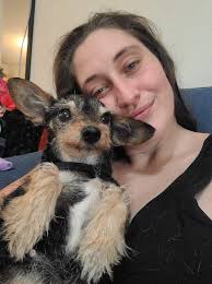 Found dog behind Portland police station