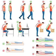 Image result for Posture