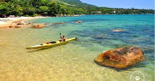 Image result for brazil natural