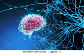 3d Model Of The Human Brain On Dark Background Surrounded By Neural Networks 3d Render 3d Illustration Synapses An Human Brain Mindfulness Perception Reality