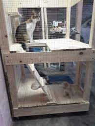 Sangkar kucing kayu pine pet supplies pet accessories on carousell. Rumah Kucing Kayu Arini Gambar