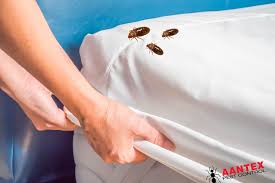 Whether you've never had a bed bug infestation or have just successfully eliminated one, prevention is crucial. How To Get Rid Of Bedbugs Aantex