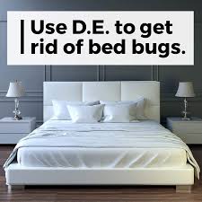 Maybe you would like to learn more about one of these? Safer 51703 Diatomaceous Earth Bed Bug Flea Ant Crawling Insect Killer 4 Lb Walmart Com Walmart Com