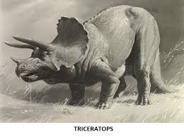 Triceratops Postcard Dinosaur Art Prehistoric Animals Art