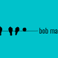 Bob Maulucci with the BradBand