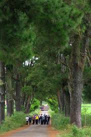Maybe you would like to learn more about one of these? Dáº¡o ChÆ¡i Tren Con Ä'Æ°á»ng Lang Máº¡n Nháº¥t Gia Lai Bao Nhan Dan