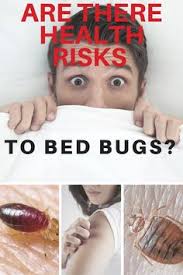 At apc, we are more than just service providers. 19 Winter Pests Ideas Pests Pest Control Insect Control