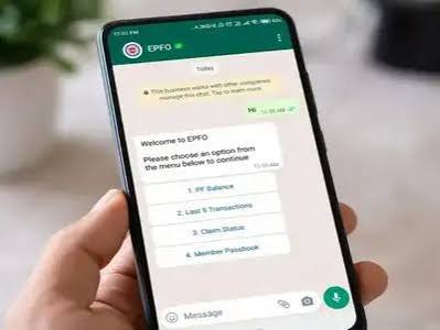 WhatsApp EPFO Channel,PF के कामों के लिए EPFO पोर्टल पर जाने की जरूरत नहीं, WhatsApp से ही हो जाएगा काम, समझें चैनल से जुड़ने का पूरा प्रोसेस - epfo official whatsapp channel