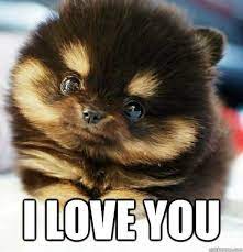 Over 40 Funny I Love You Memes Thrifty Nifty Mommy