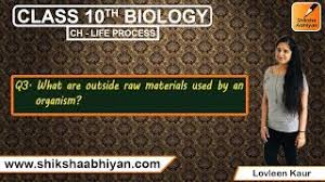 Indirect raw materialson the other hand, indirect raw materials are the materials. Q3 What Are Outside Raw Materials Used By An Organism Youtube