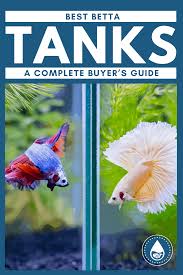 Best Betta Tanks A Complete Buyer S Guide In 2020 Betta Tank Betta Betta Fish Tank