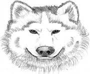 Click the stylish wolf coloring pages to view printable version or color it online (compatible with ipad and android tablets). Wolf Coloring Pages To Print Wolf Printable