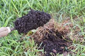 How To Fill Holes In The Lawn With Soil Hunker Lawn Lawn Repair Soil