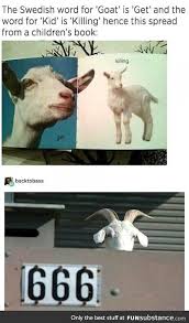 Goats Are My Favourite Animal Now Funsubstance Funny Memes Funny Stupid Funny Memes