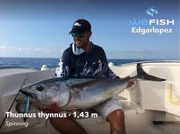 Come join me on snap : Tuna Fishing How To Catch A Tuna Wefish The Most Complete Fishing App