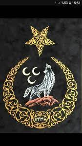 Tc Yunus Adiguzel Bayrak Kurklu Sanat Turkler