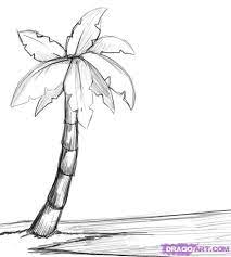 You want to add in some extra bits of detail that make it look like your palm tree is on the beach. How To Draw A Palm Tree Step By Step Trees Pop Culture Free Online Drawing Tutorial Added By Dawn August 21 Palm Tree Drawing Tree Sketches Tree Drawing