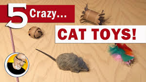 How about a little diy cat entertainment? 5 Crazy Cat Toys You Can Make Youtube