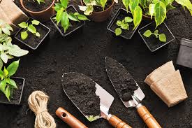 Check spelling or type a new query. Factors For Making A Vegetable Garden Plan Backyard Riches