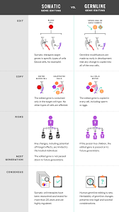 These ethical issues have causes controversy within society. Harvard Researchers Share Views On Future Ethics Of Gene Editing Harvard Gazette