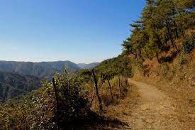 This Is The Davis Scott Trail In Meghalaya What Once Was A Dirt Path Connecting Cherrapunji To A City Near Shillong Hiking Trails Outdoor Outdoor Activities
