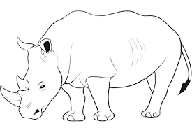 We have collected 40+ rhino coloring page images of various designs for you to color. Rhinos Coloring Pages Coloring Home